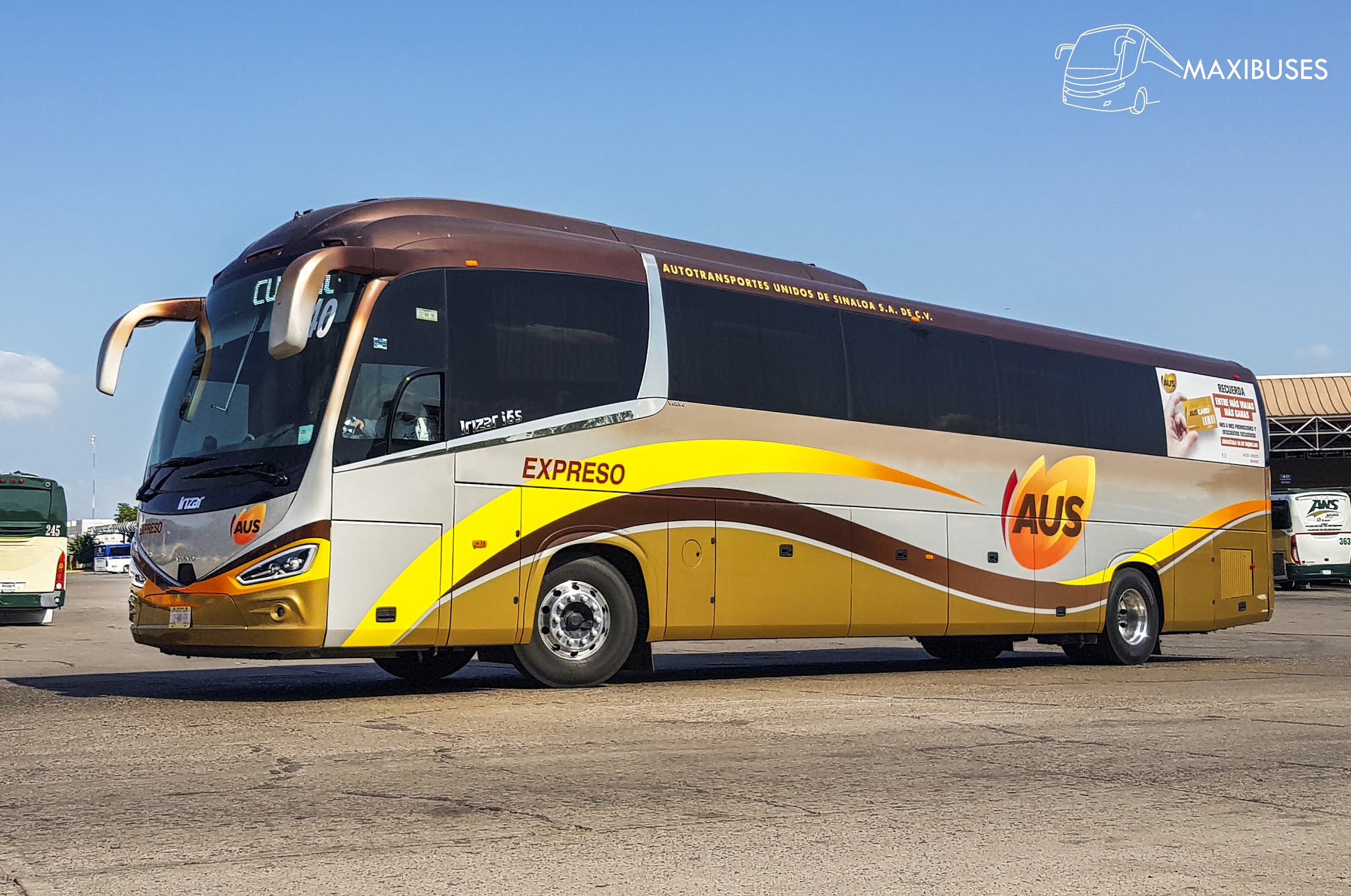 MAXIBUSES AUTOTRANSPORTES UNIDOS DE SINALOA, EXPRESO
