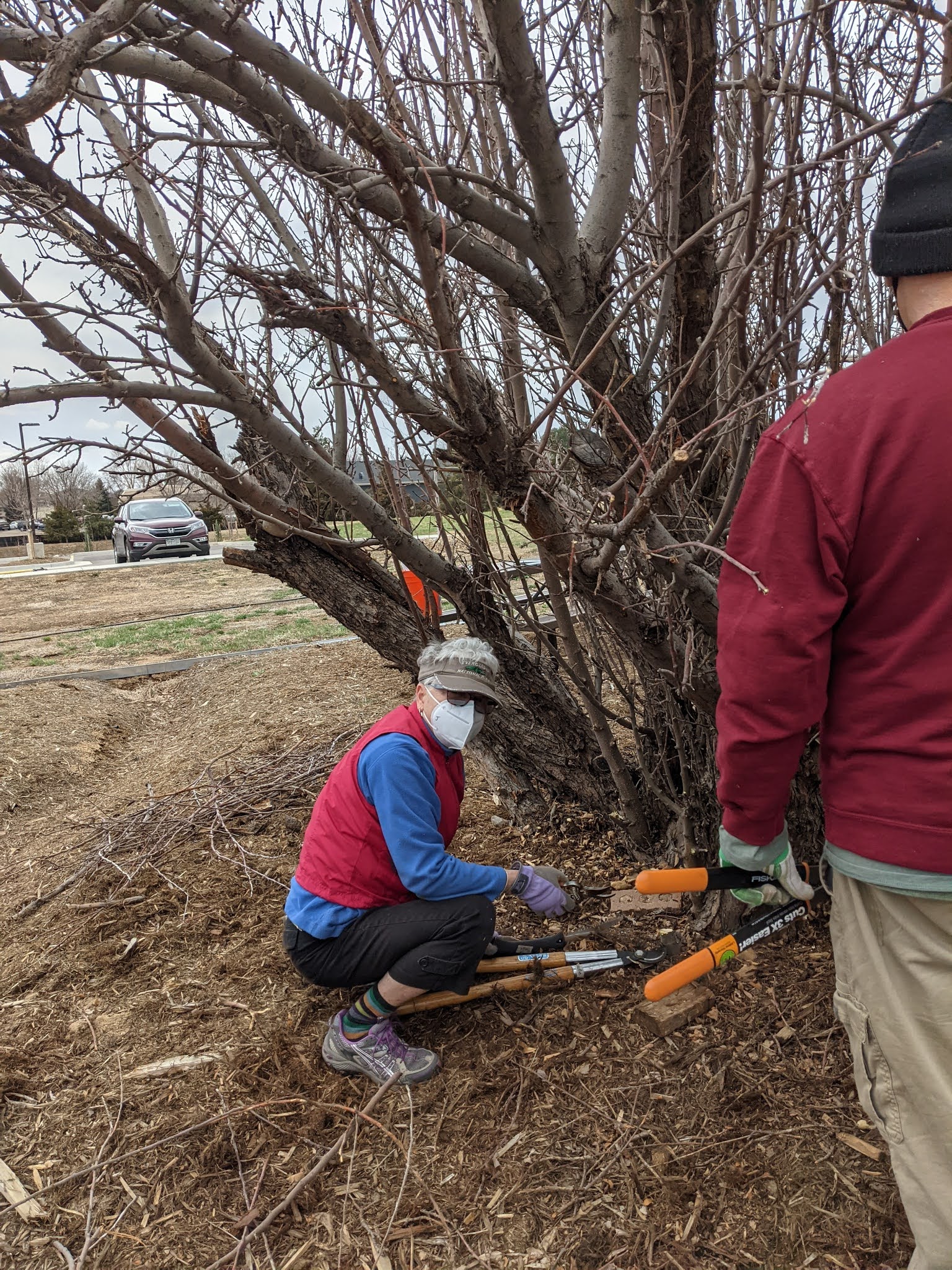 BVUUF Grounds Teams Pruning the Apple Trees & Trimming the Switch Grass