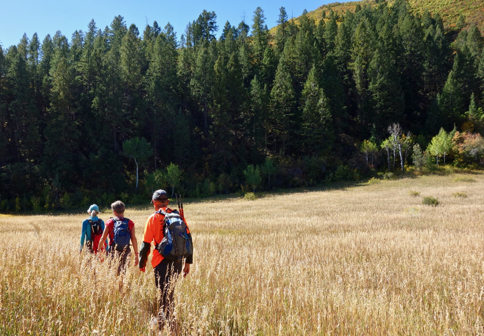 Earthline The American West Dry Gulch Trail, Durango