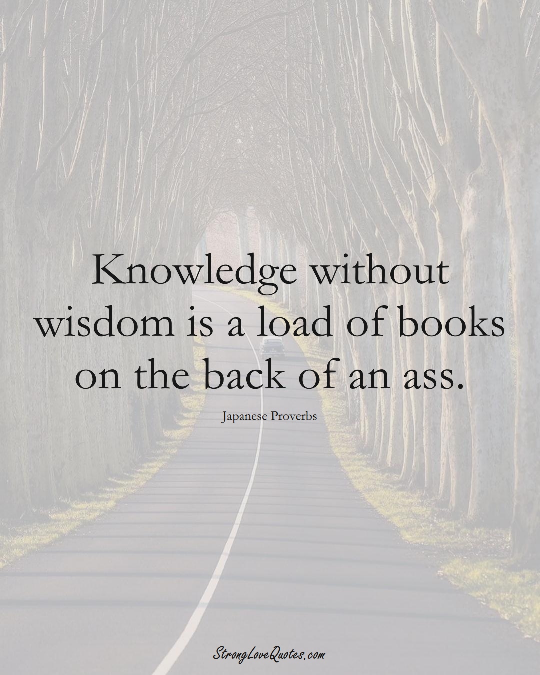 Knowledge without wisdom is a load of books on the back of an ass. (Japanese Sayings);  #AsianSayings