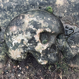 Carved skull on one of the old graves at Kirk Ports Graveyard, North Berwick by Kevin Nosferatu for the Skulferatu Project