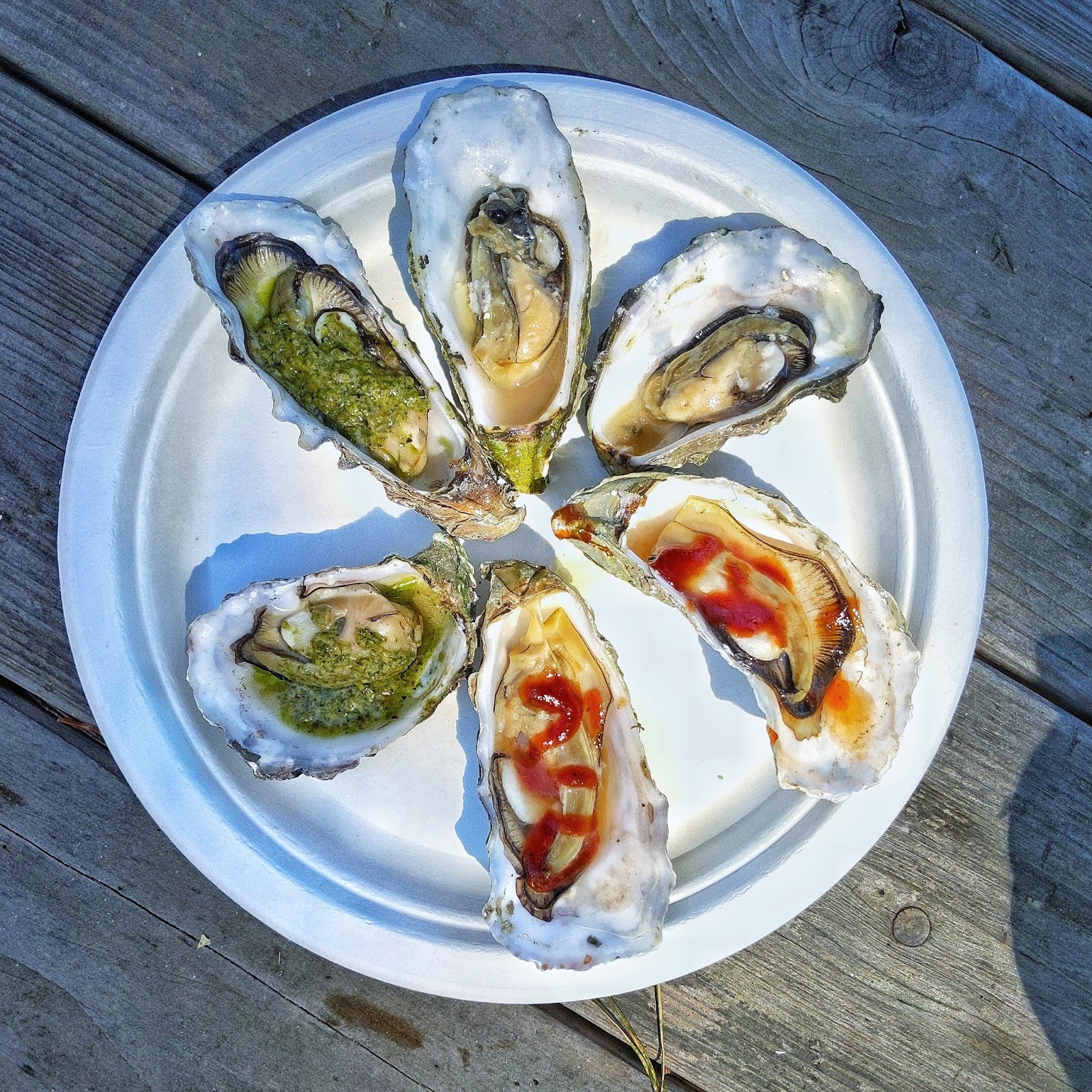 BODEGA BAY Will road trip for Oysters — Suz Marks the Spot