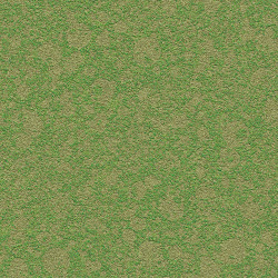texture patch seamless grass dirt ground dark land aerial stucco april11 textures resolution patching