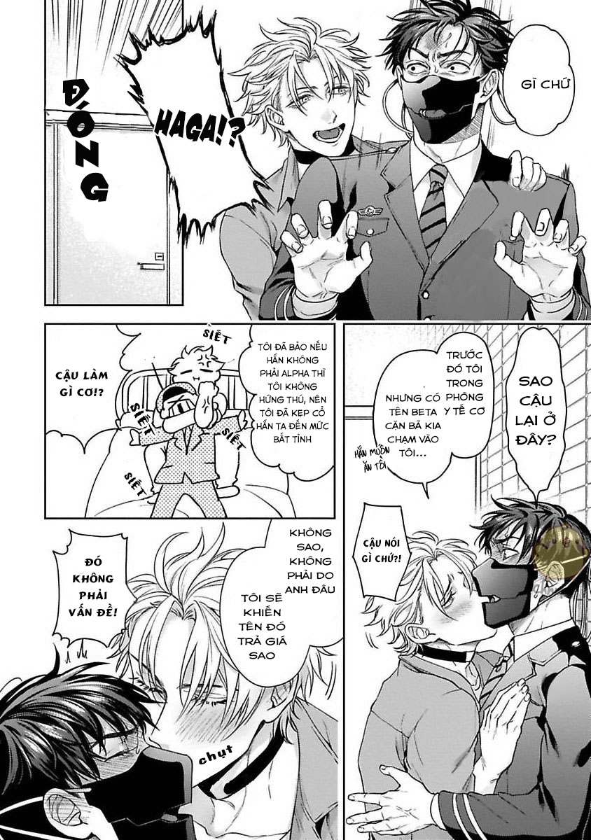 Đọc truyện SAKISHITA Senmu Haga-kun wa Kamaretai (Vietnam) - Chapter 2