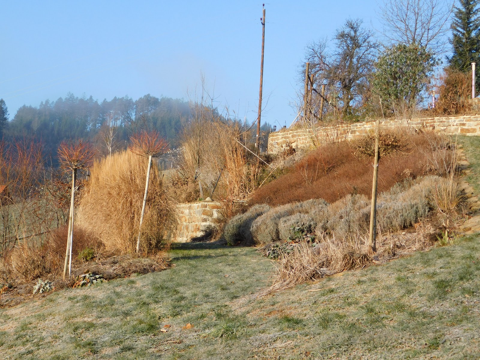 Der Garten im Januar&hellip;