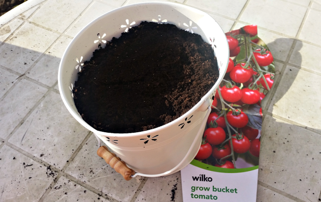 Tomato bucket planter