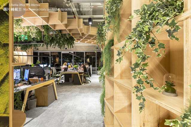 辦公室設計 軟性佈置 綠植栽