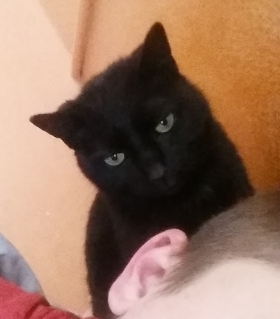 Obraz