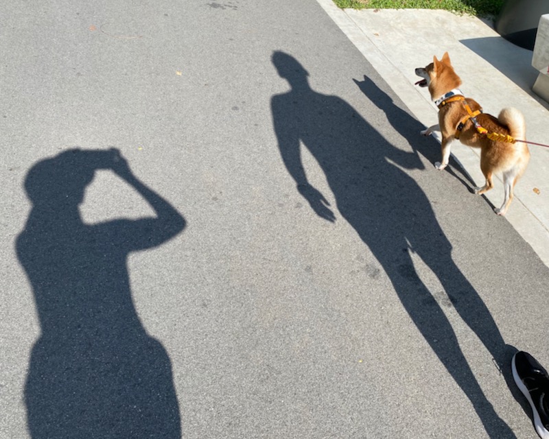 Faerie Tales A Pie Chart of Life's Responsibilities