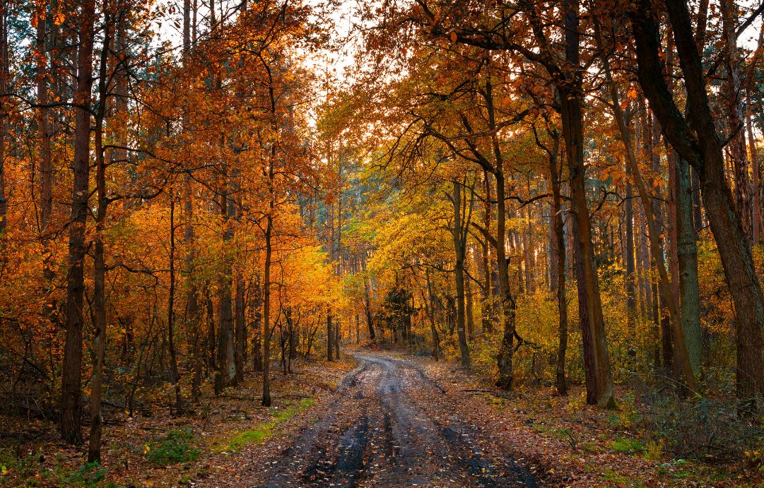 Just A Car Guy: I hope you're going to take photos if you're getting ...