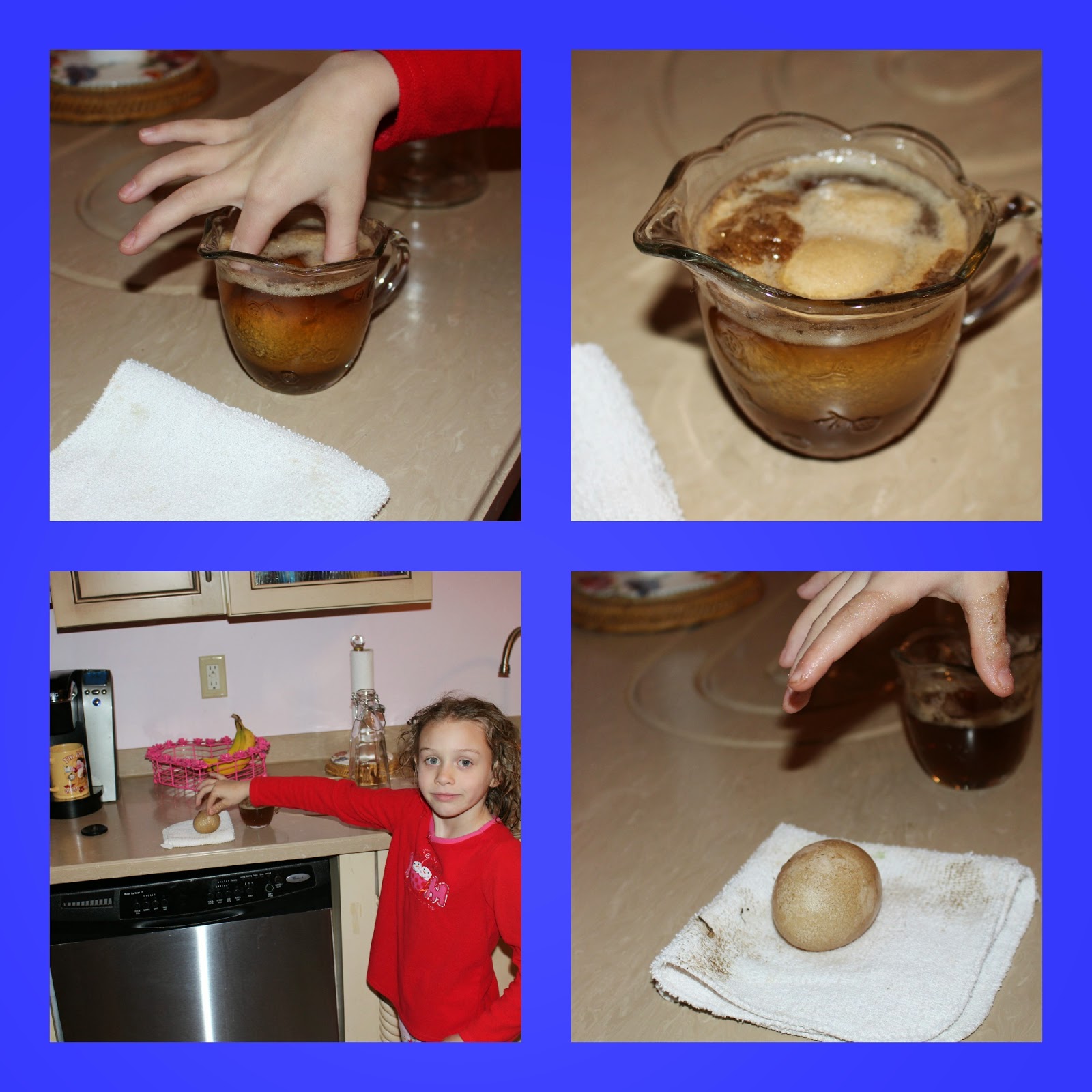 Egg In Vinegar Experiment Research