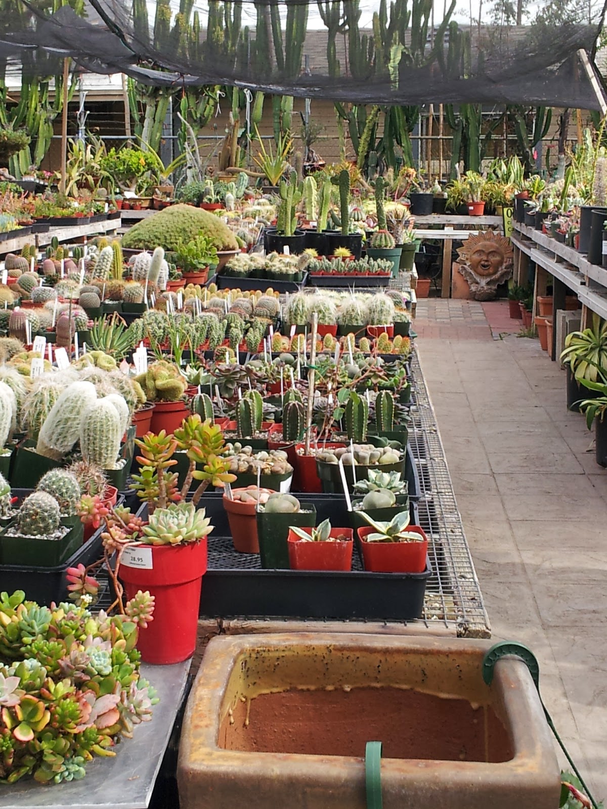 Studio, Garden & Bungalow It's Cactus Time California Cactus Center