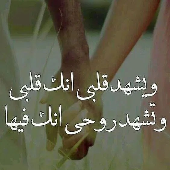 أحلى كلام لزوجي في عيد ميلاده 2021 اجمل ما يقال للزوج