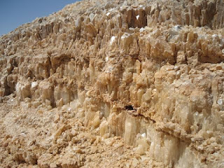 safari white desert safari white desert