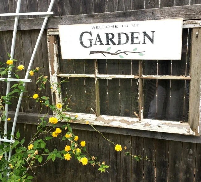 old window with garden sign