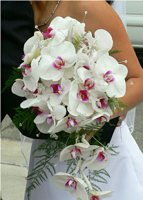 Speciality of Orchid Wedding Flowers