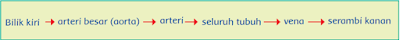 Sistem peredaran darah besar manusia tema 4 kelas 5 halaman 2