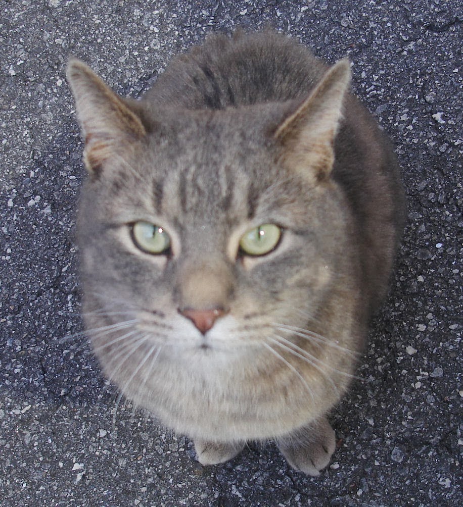 Blue Starr Gallery Methane Gas Can Kill You