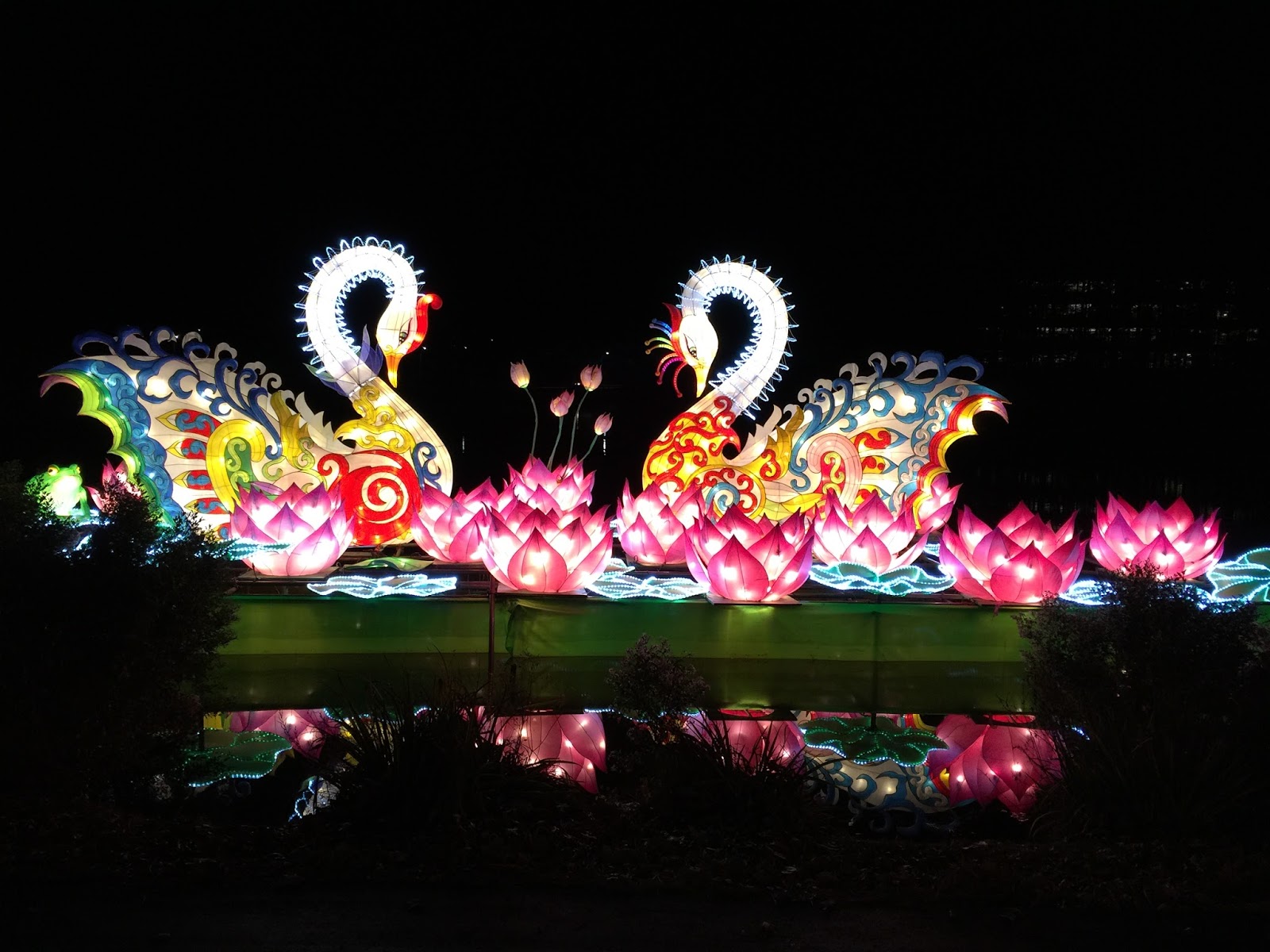 chinese new year cary