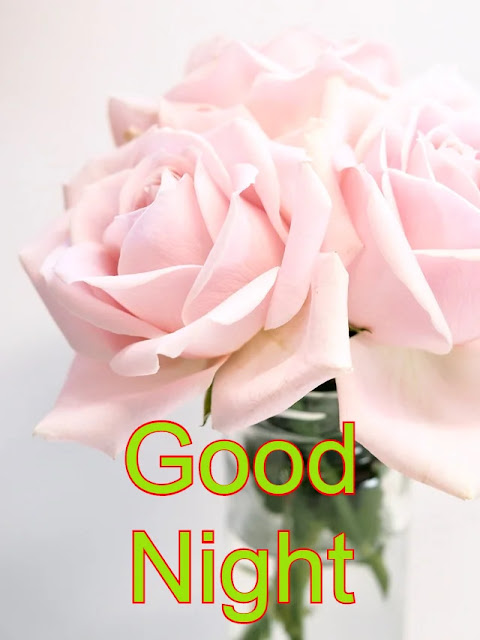Good Night HD Images Good Night HD Images