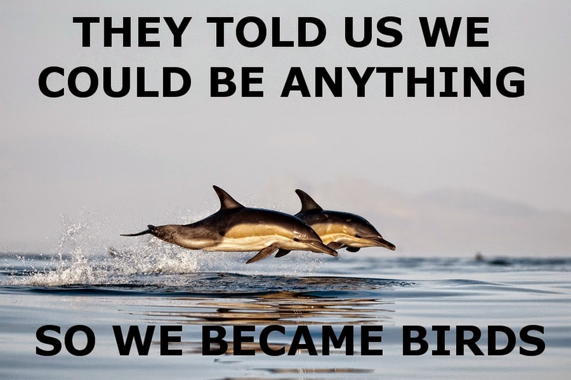 Chuck's Fun Page 2: Just animals (15 images)