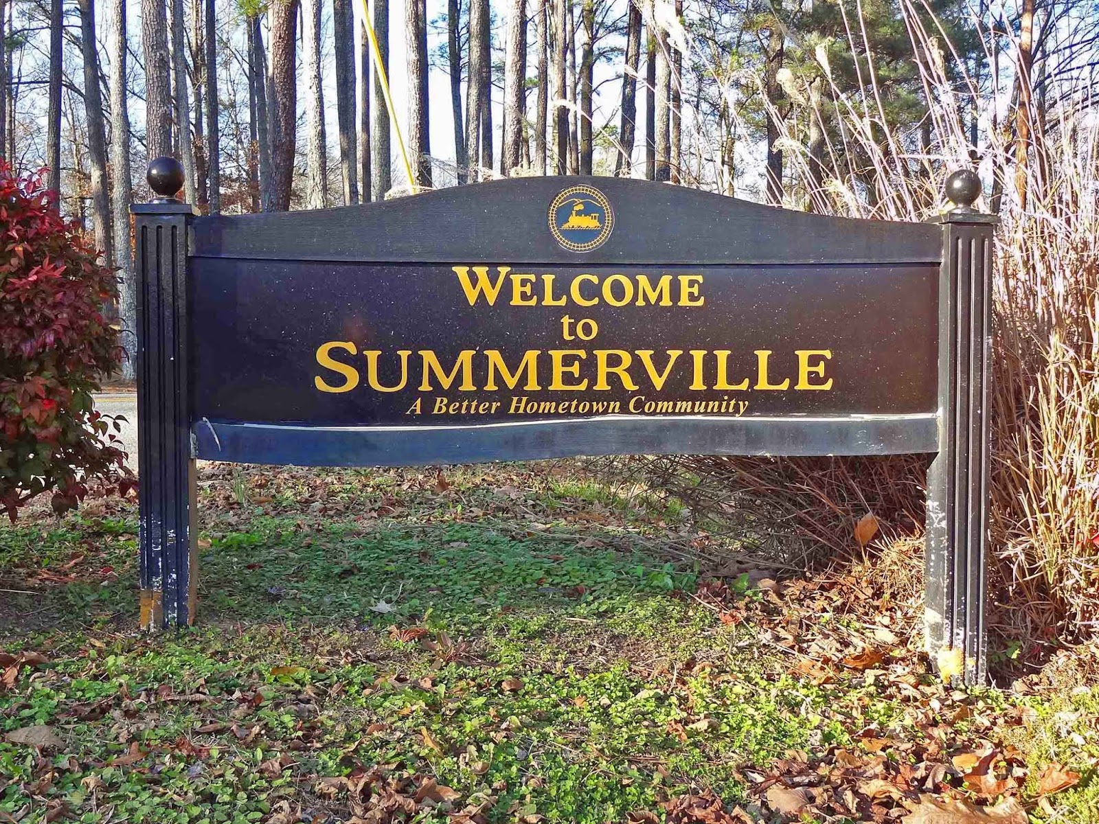 Geographically Yours Summerville,