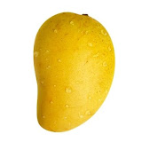 Xoài Cát Hòa Lộc