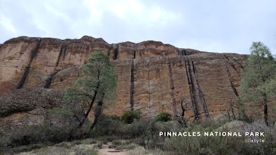 加州國家公園 Pinnacles