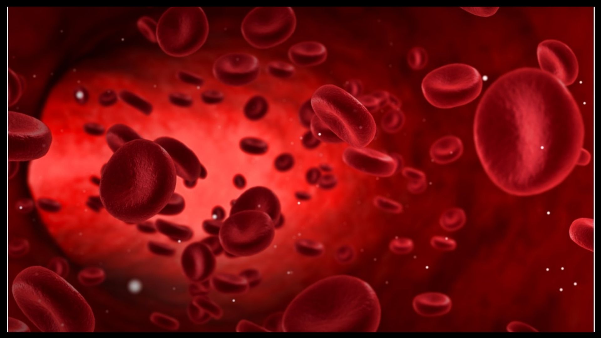 Best Practices To Keep Blood Level And Functions Normal