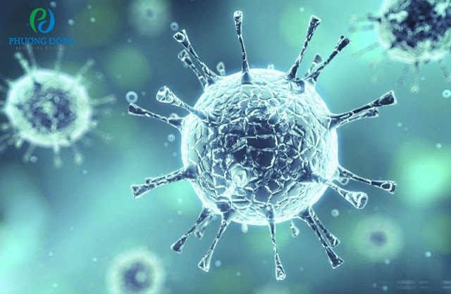 Virus corona – chủng virus mới gây bệnh viêm phổi cấp
