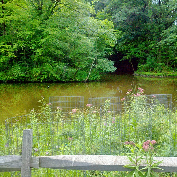 Bike-N-Hike Fort Lee, Leonia Flat Rock Nature Center - Pushing Myself