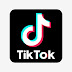 Tik Tok Complete History Why is Popular?