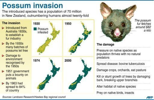 POSSUMS and STOATS