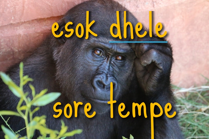 Kumpulan Peribahasa Jawa Lengkap Dan Artinya