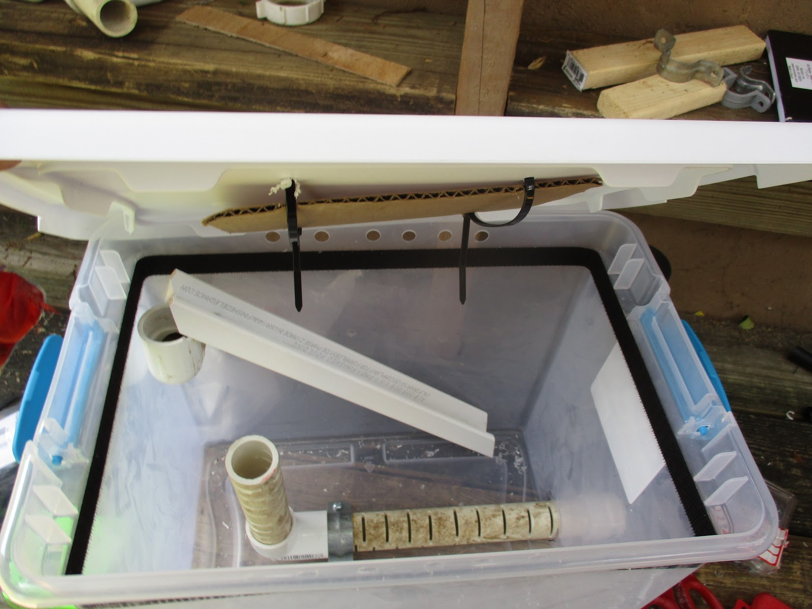 Black Soldier Fly Larva Harvester