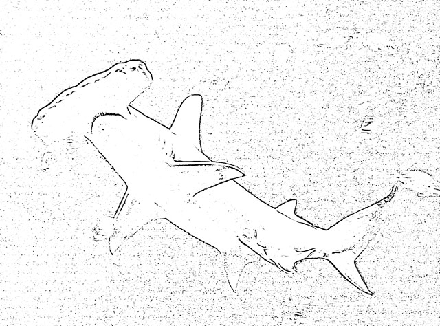 Shark coloring pages holiday.filminspector.com