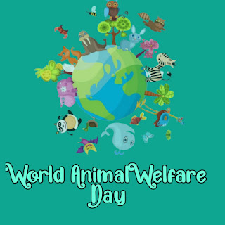 Best World Animal Day Pictures 2021