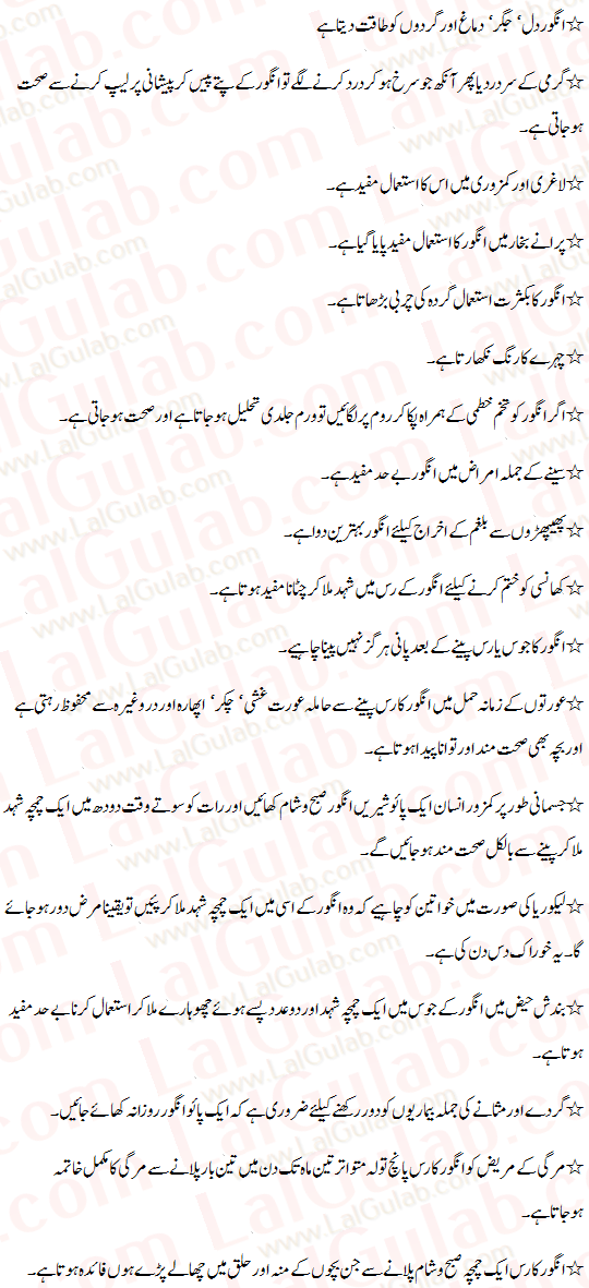 Grapes Urdu Essay Angoor Urdu Essay Mazmoon Urdu Speech Notes Paragraph