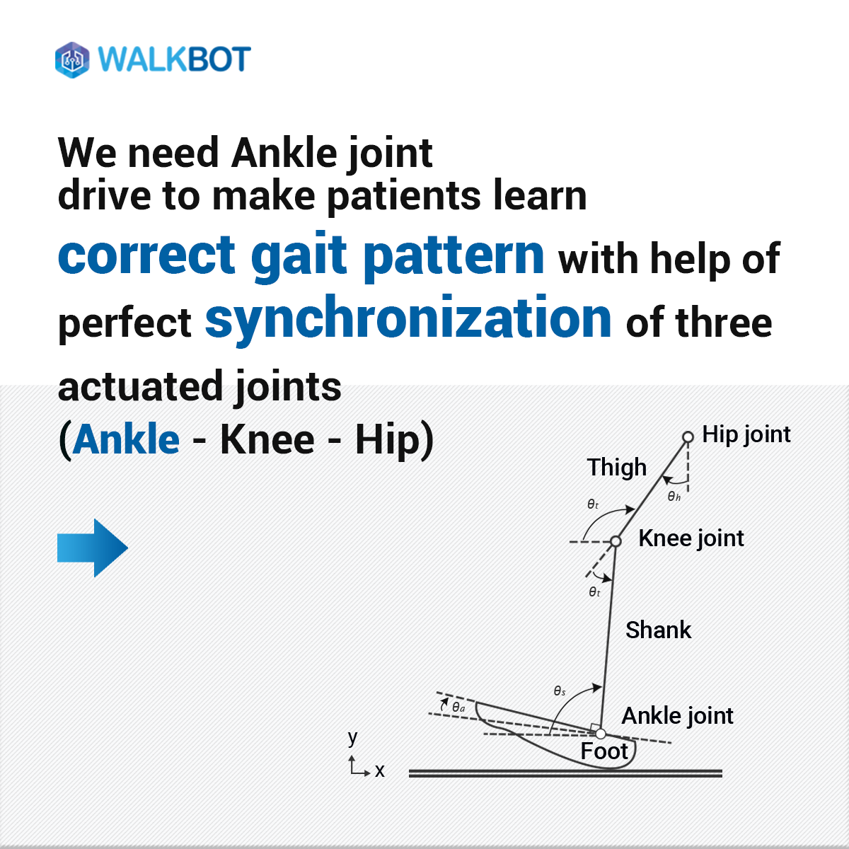 Importance of Ankle joint in gait training