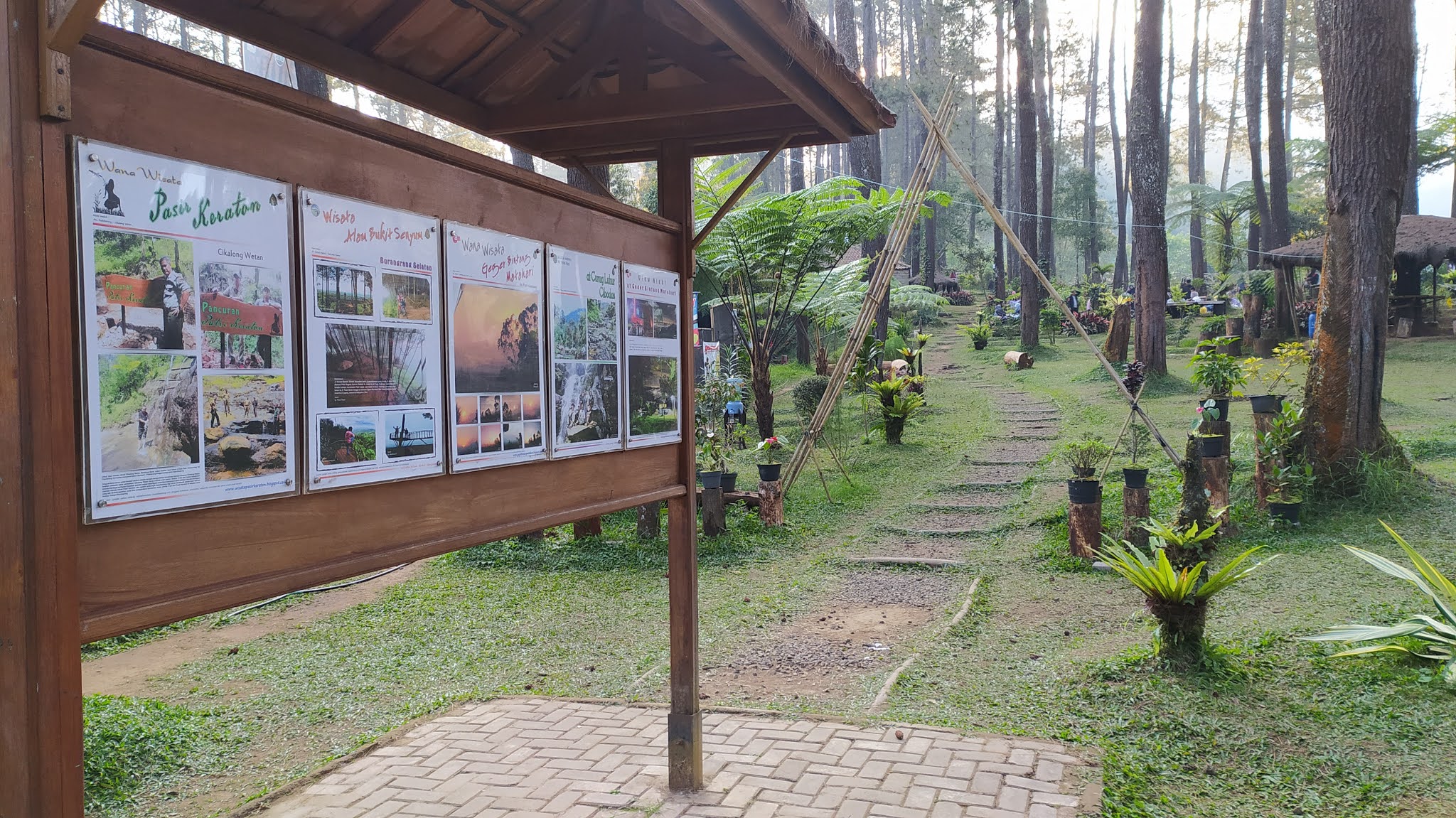 Hutan Pinus Pal 16 Cikole Lembang