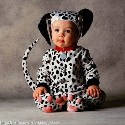 Baby dalmatian.