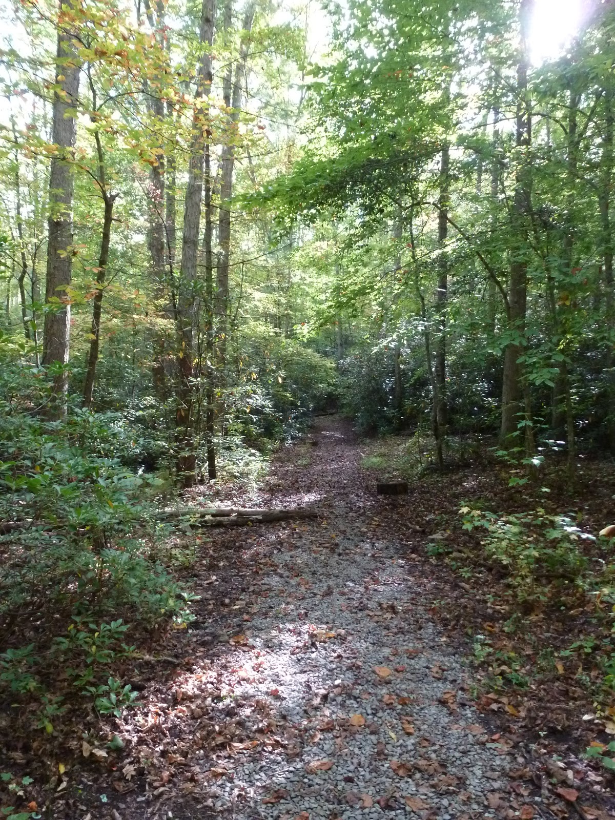 The Continuing Adventures of Eric, Noelle and Sierra Lost Cove, North