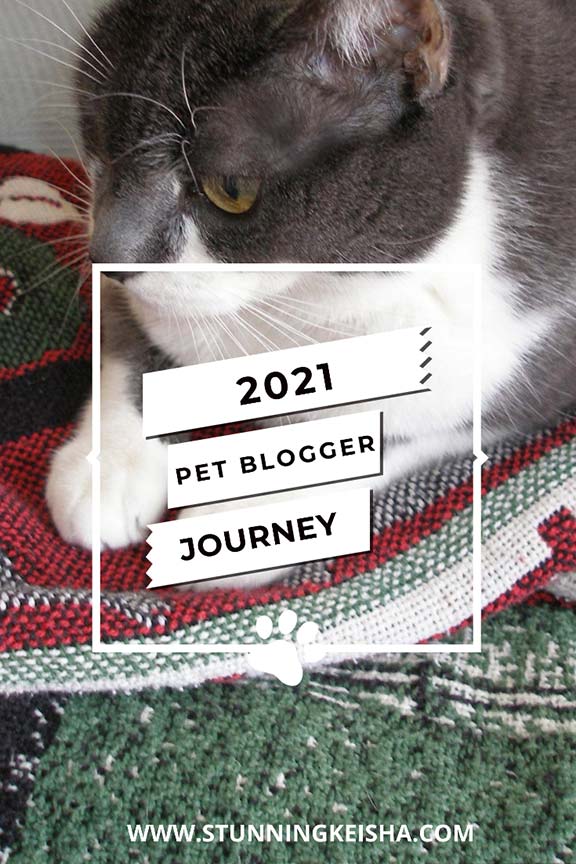 10 Questions on the Pet Bloggers Journey Stunning Keisha