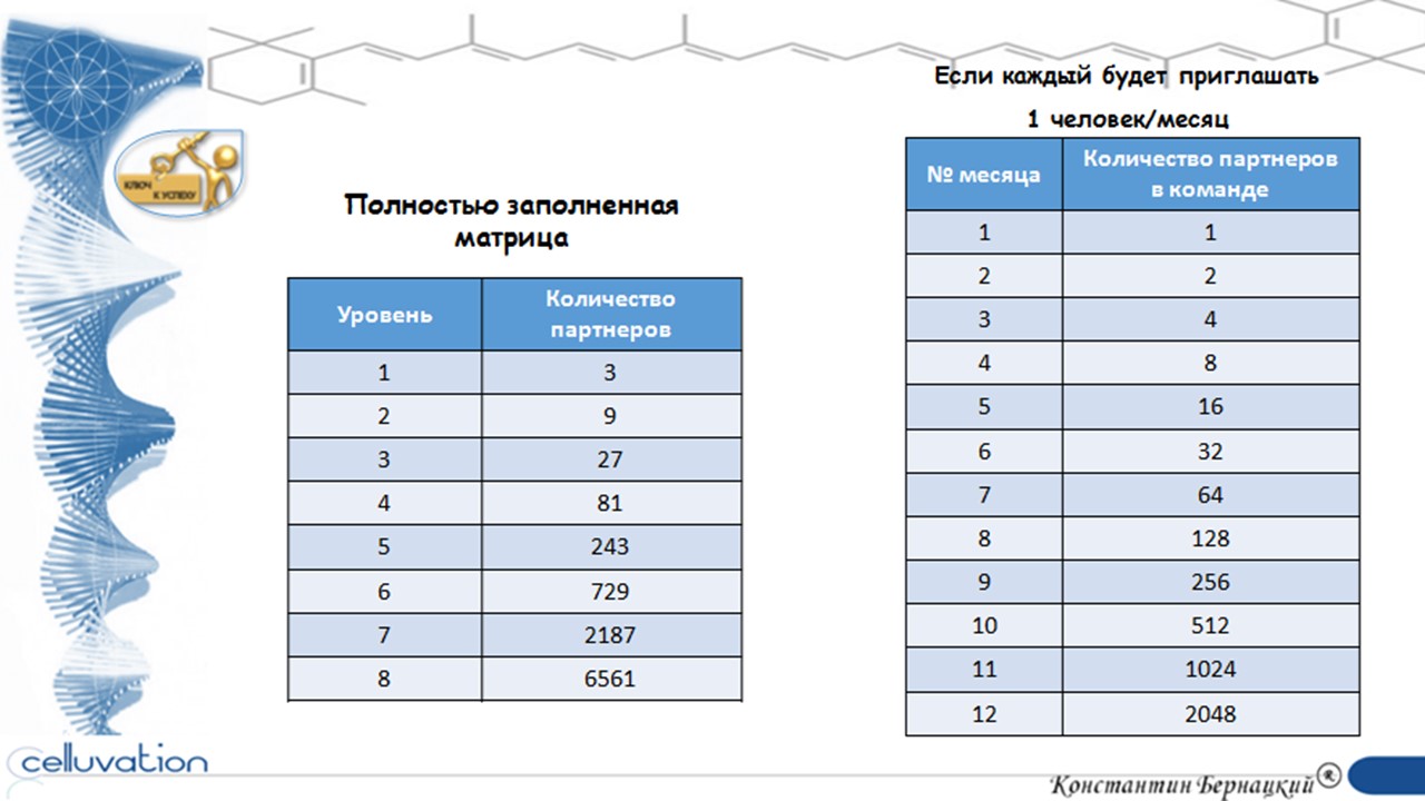 Размеры от количества партнеров. Таблица вознаграждений амвей. Размеры от количества партнеров. Размеры от количества партнеров. Размеры от количества партнеров.