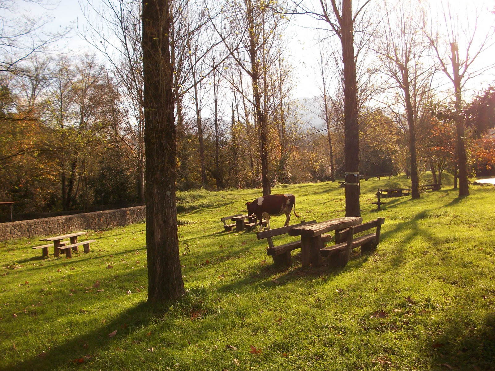 Foto de Parque De Vegacorredor en Ramales de la Victoria, Cantabria