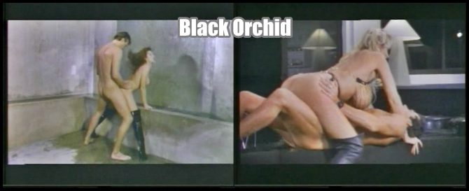 http://softcoreforall.blogspot.com.br/2015/12/full-movie-softcore-black-orchid-1993.html