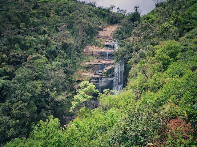 ගවරා විසූ - ගවරවිල සොයා මහ වනයට 🌳🐂🌳 (Gawarawila) - Your Choice Way