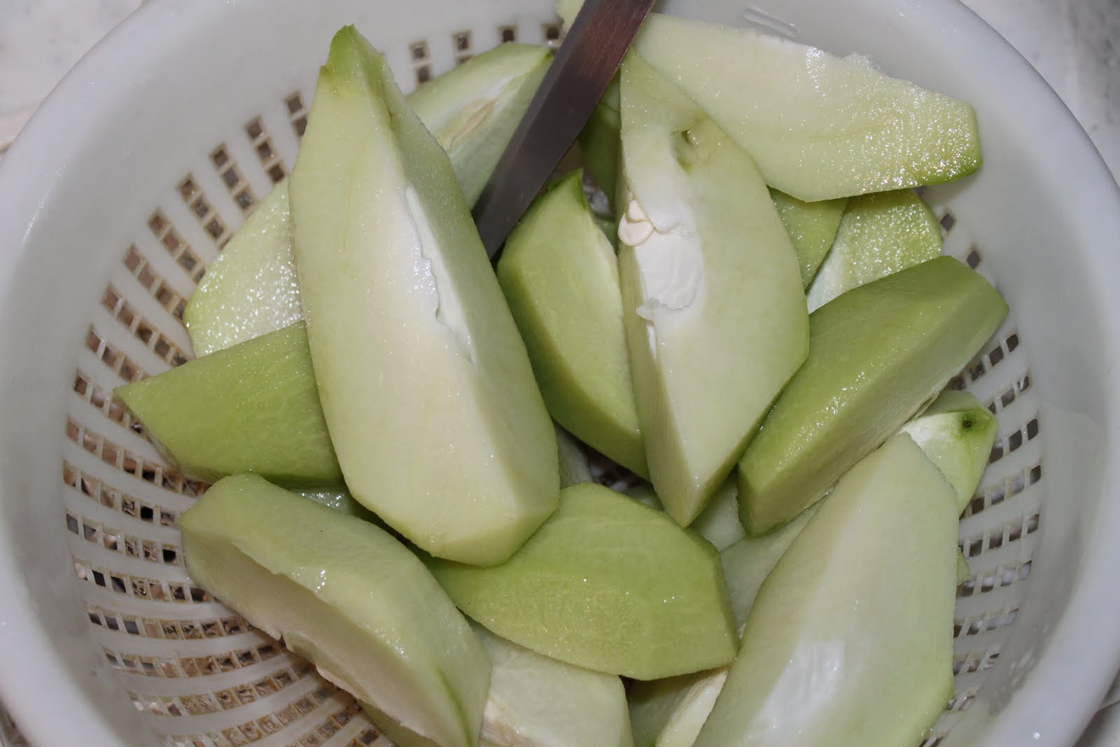 ricette con le zucchine spinose