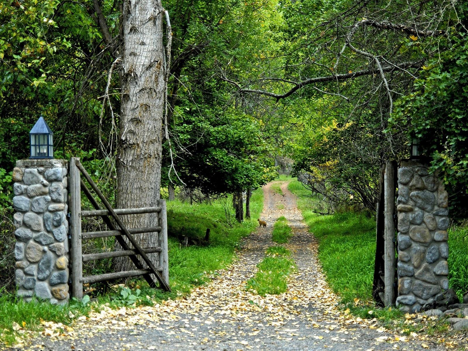 Sweetcouple Road Jungle Nature HD Wallpapers For Desktop Laptop