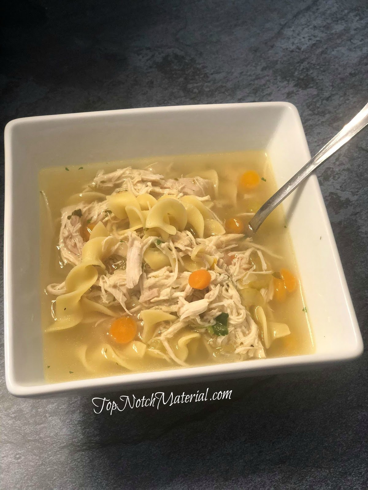 Top Notch Material Fissler Souspreme MultiPot Chicken Noodle Soup